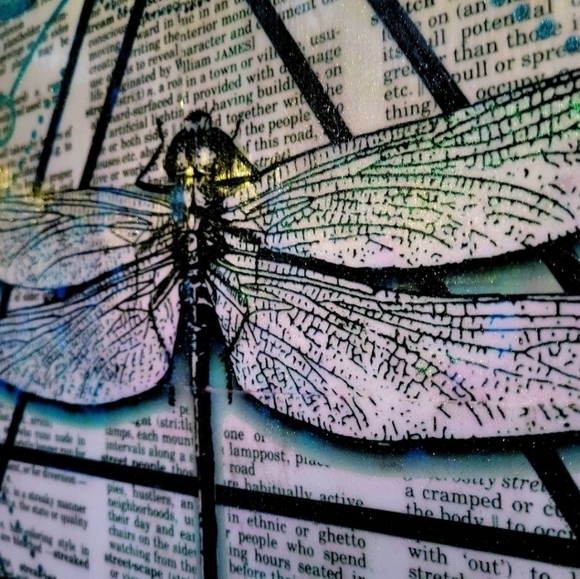 Luna Moth & Dragonfly Moon Magic Nature Sacred Geometry Two Set 16x20 Canvas - Picture 5 of 8